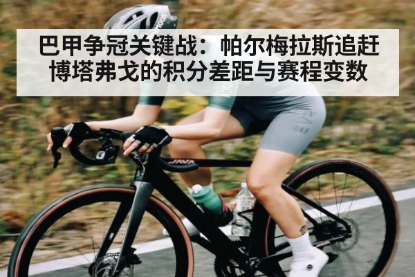 巴甲争冠关键战:帕尔梅拉斯追赶博塔弗戈的积分差距与赛程变数